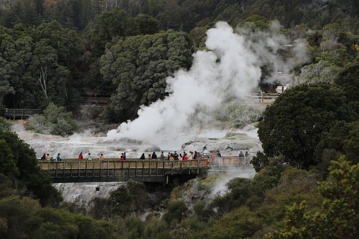 Luxury Day Tour: Hobbiton and Rotorua from Auckland photo 6