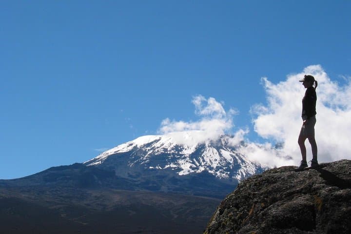 Kilimanjaro Climb & Safari (Lemosho Route) — 13-Day Guided Trek to Uhuru Peak photo 6