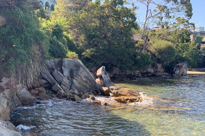 Hidden Harbour Beaches Tour in Sydney — Top 10 Local Beaches with a Guide photo 6
