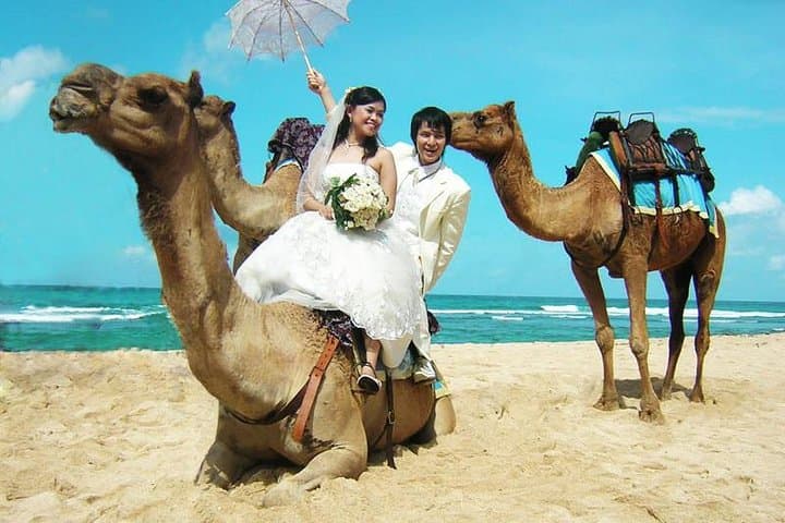 30-Minute Bali Camel Safari on Sawangan White Sand Beach photo 2