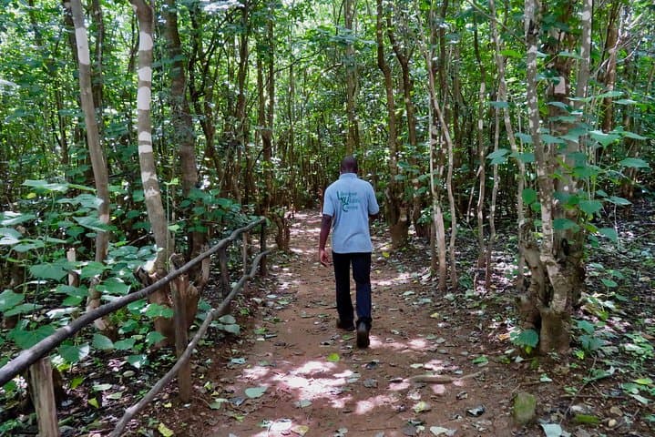 Discover Malawi: 7-Day Private Tour from Lilongwe to Lake Malawi photo 4