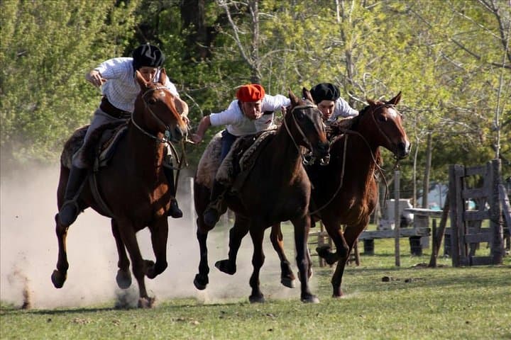 Buenos Aires Super Saver: City Tour, Gaucho Estancia Day & Tango Dinner Guide photo 6