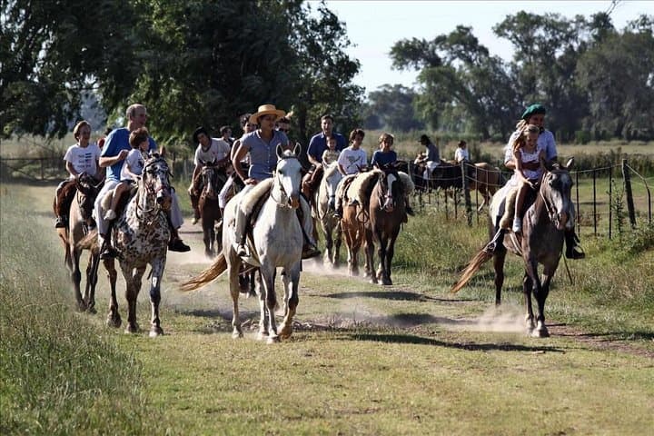 Buenos Aires Super Saver: City Tour, Gaucho Estancia Day & Tango Dinner Guide