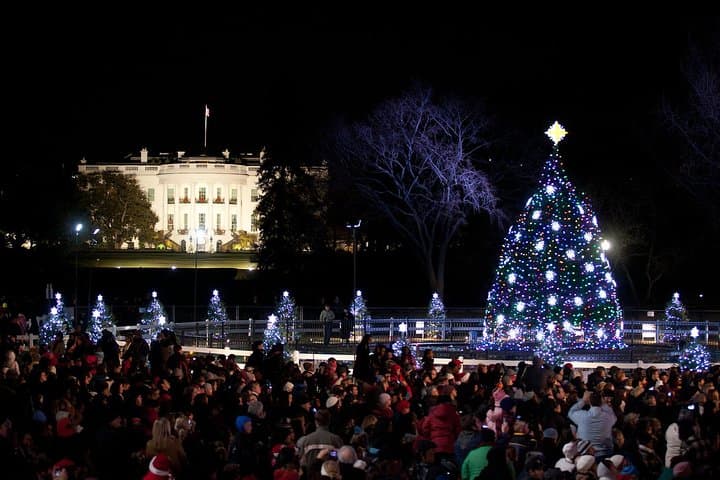 Washington DC Holiday Lights Tour & Old Town Alexandria Evening Bus Guide photo 4