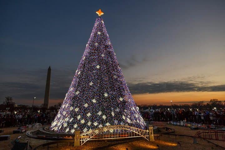 Washington DC Holiday Lights Tour & Old Town Alexandria Evening Bus Guide photo 6