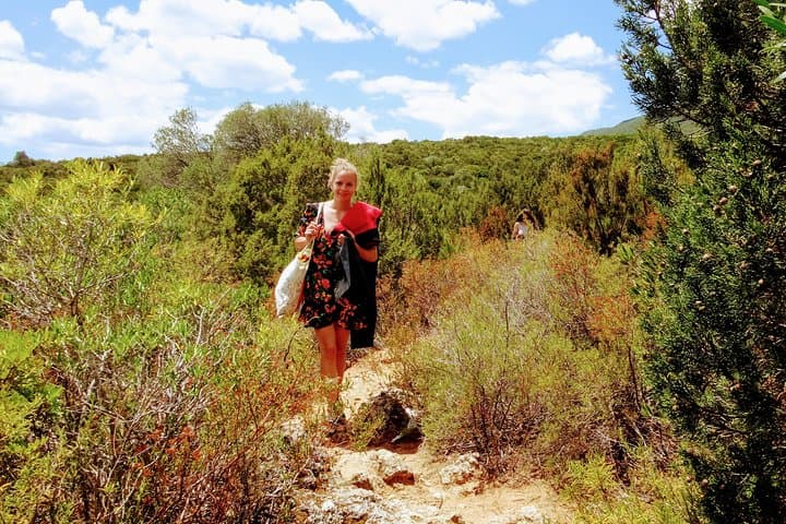 Arrábida Snorkeling Adventure from Lisbon: Coastal Cliffs, Clear Waters & Short Hikes photo 3
