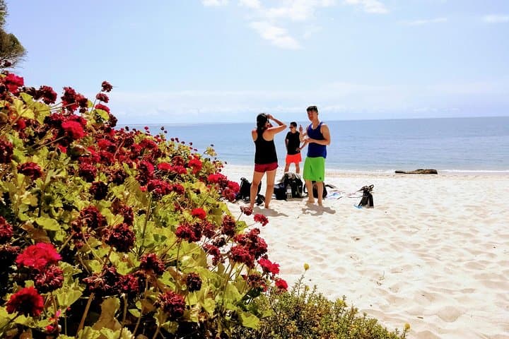 Arrábida Snorkeling Adventure from Lisbon: Coastal Cliffs, Clear Waters & Short Hikes photo 4
