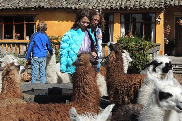 Two-Day Cotopaxi & Baños Adventure — Volcano Ridges, Waterfalls and Amazon Edge photo 5