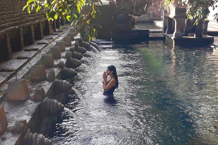 Best of Ubud: Waterfall, Temple, Monkey Forest & Rice Terrace Day Tour photo 4