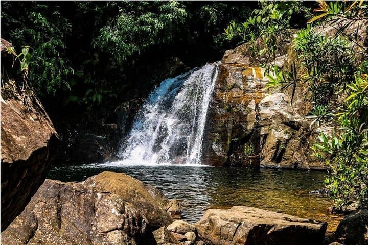 Sinharaja Rainforest Trek: Private Day Trip from Galle, Mirissa & Weligama