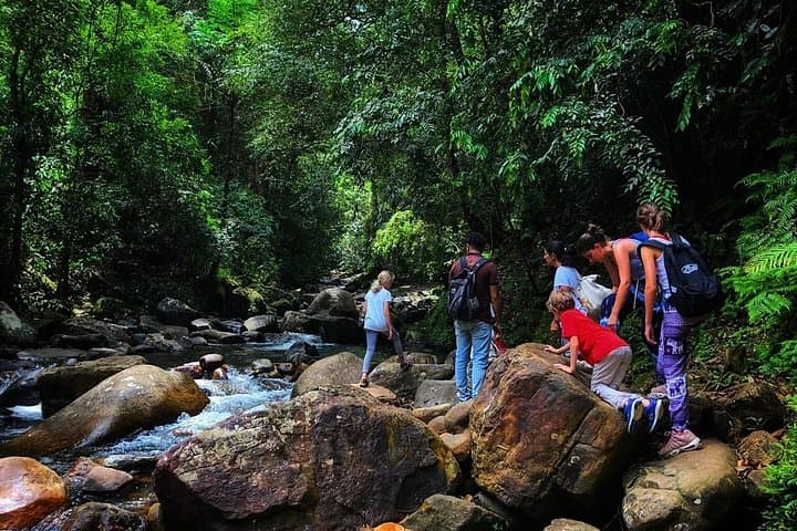 Sinharaja Rainforest Trek: Private Day Trip from Galle, Mirissa & Weligama photo 4