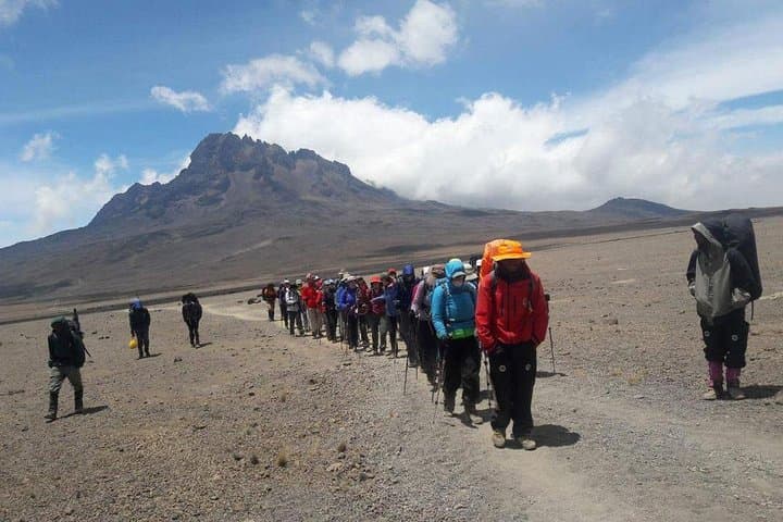 7-Day Mount Kilimanjaro Lemosho Route: A Practical Guide to East Africa’s Western Ascent photo 2