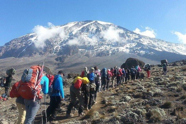 7-Day Mount Kilimanjaro Lemosho Route: A Practical Guide to East Africa’s Western Ascent