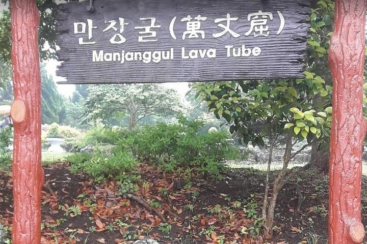 Private Half-Day East Jeju Transport — Customize Your Coastal Itinerary photo 5