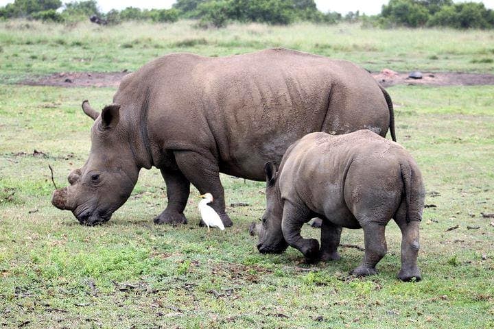 Cape to Addo Safari: 5-Day Garden Route Adventure from Cape Town to Addo Elephant National Park photo 2