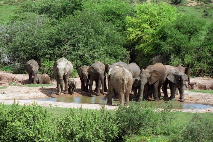 Cape to Addo Safari: 5-Day Garden Route Adventure from Cape Town to Addo Elephant National Park photo 4