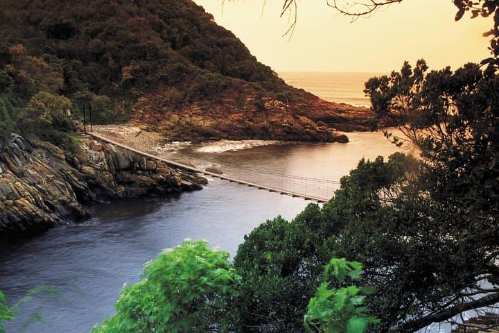Cape to Addo Safari: 5-Day Garden Route Adventure from Cape Town to Addo Elephant National Park photo 6