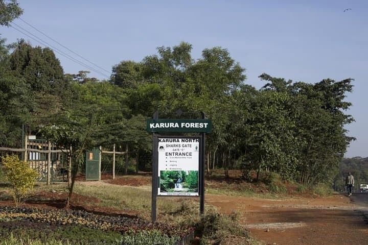Karura Forest Urban Walk — Waterfalls, Wildlife & Mau Mau Caves in Nairobi
