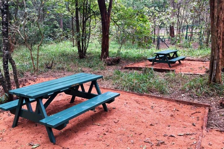 Karura Forest Urban Walk — Waterfalls, Wildlife & Mau Mau Caves in Nairobi photo 2