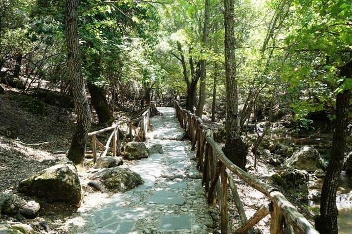 Explore Rhodes: Valley of the Butterflies and Halki Day Tour photo 6