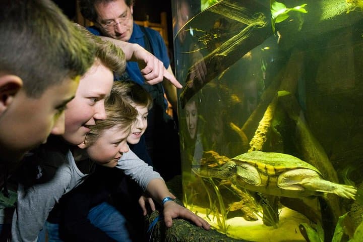 SEA LIFE Munich: Ocean Tunnel, 20+ Sharks & Family-Friendly Aquarium in Olympic Park photo 5