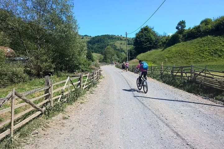 Ride the Foothills: Magura, Peștera & Moieciu Cycling Tour from Brașov