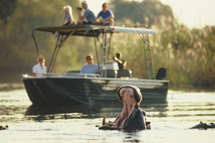 6-Day Hwange, Chobe & Victoria Falls Safari: Big Cats, Chobe Rivers & Zambezi Sunsets photo 3