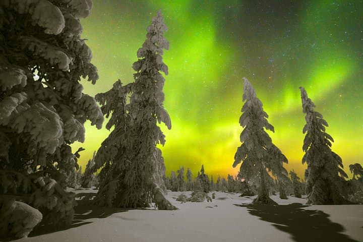 Evening Snowshoe Hike in Rovaniemi's Lappish Wilderness photo 3