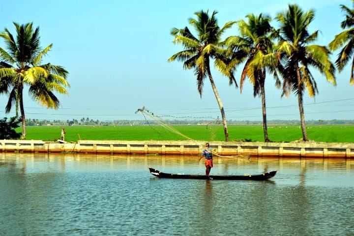 5-Day Private Kerala Tour: Munnar Tea Country, Periyar Wildlife & Alleppey Backwaters photo 2
