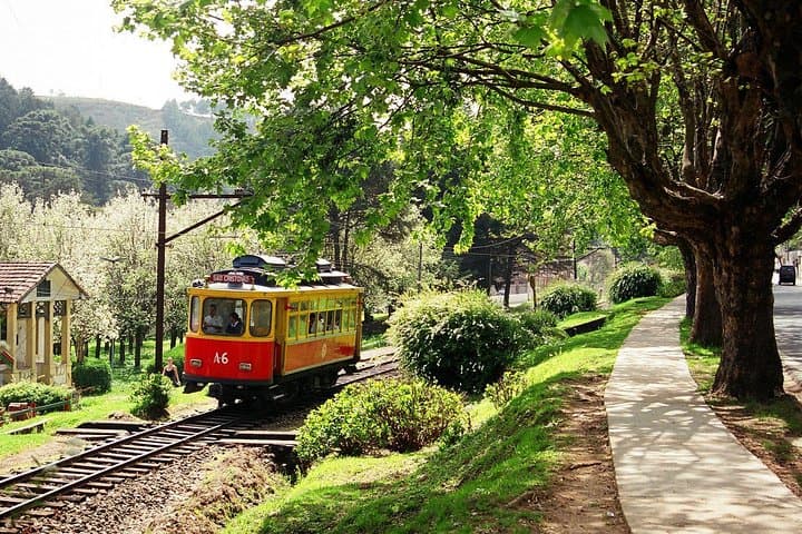 Day Trip to Campos do Jordão: Explore the ‘Brazilian Switzerland’ from São Paulo photo 3
