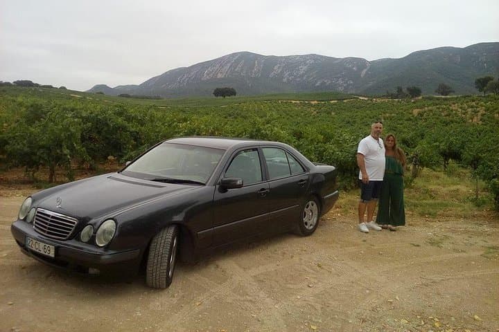 Setúbal Private Day Tour — Markets, Monuments & Wine in the Pearl of Sado photo 2