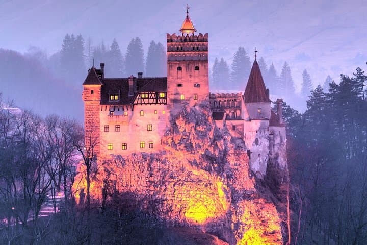 Bear Sanctuary, Bran Castle & Brasov Day Trip from Bucharest — Private Tour photo 4