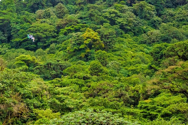 Monteverde Cloud Forest Canopy Zipline Tour photo 5