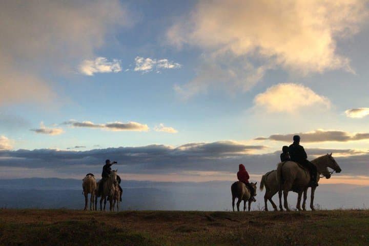 Horseback Riding the Monteverde Cloud Forest: Sunrise Birding & Sunset Views photo 6