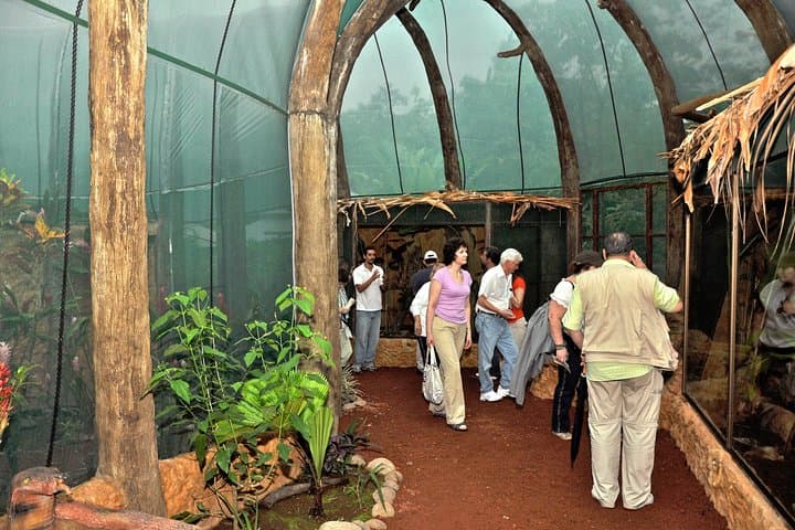 Natura Eco Park La Fortuna — Self-Guided Wildlife Walk and Butterfly Garden photo 3