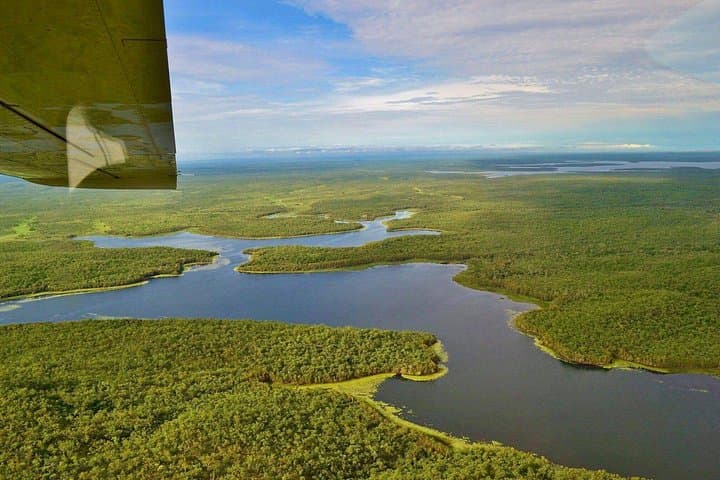 Litchfield & Daly River Scenic Flight from Darwin: Waterfalls, Wetlands and Magnetic Ant Hills