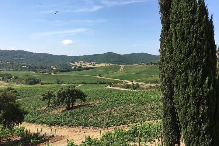 Week-Long Authentic Tuscany: Local B&Bs, Hilltop Villages & Wine Tasting photo 4