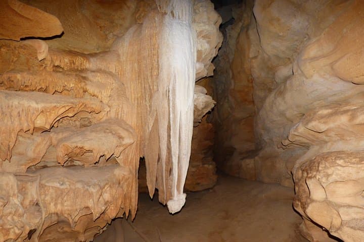 Tsingy and Kirindy Forest Expedition: Madagascar's Limestone Forests and Baobab Trails photo 5