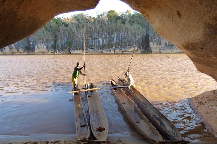 Tsingy and Kirindy Forest Expedition: Madagascar's Limestone Forests and Baobab Trails photo 6