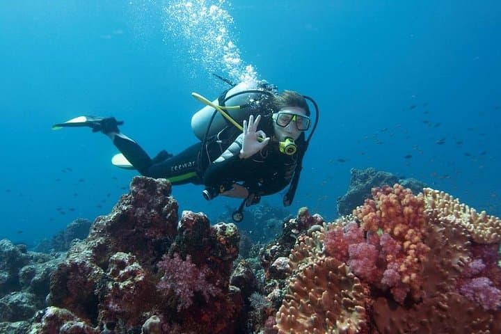 Fethiye Scuba Diving Adventure: 2 Dives, Lunch & Pickup photo 5