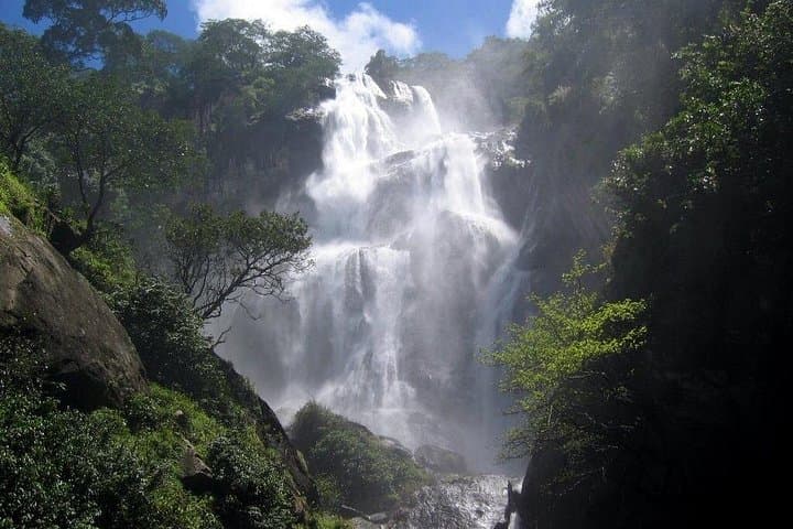 Udzungwa National Park Waterfalls: 3-Day Hike, Game Drive & Swimming photo 2