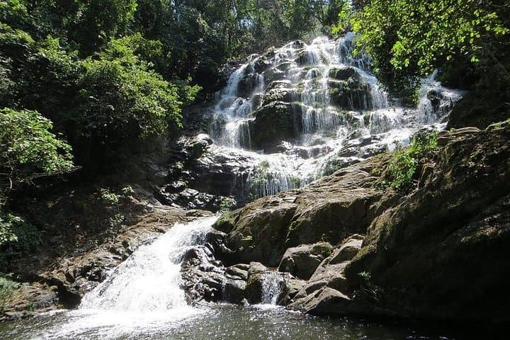 Udzungwa National Park Waterfalls: 3-Day Hike, Game Drive & Swimming