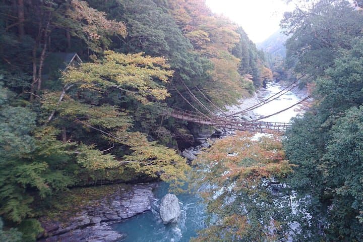 Iya Valley Brompton Slow Cycling Tour — Gentle Downhill Through Japan’s Hidden Gorge photo 3