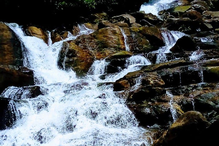 Kanneliya Rain Forest Tour: Guided Hike in Sri Lanka's Biodiversity Hotspot