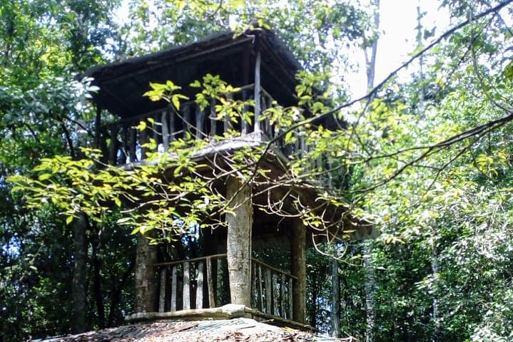 Kanneliya Rain Forest Tour: Guided Hike in Sri Lanka's Biodiversity Hotspot photo 4