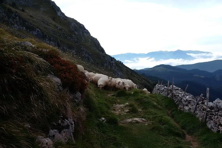 San Sebastián Countryside & Basque Coast Private Day Tour photo 2