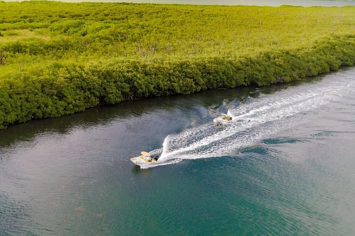 Nichupté Lagoon Speedboat Adventure: Mangroves & Snorkel at Punta Nizuc photo 2