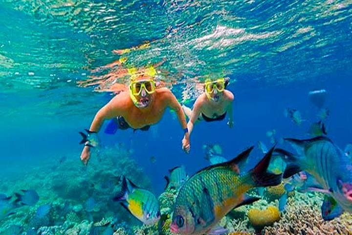 Roatán Catamaran Snorkeling Party — North-Side Reef, Starfish & Shipwrecks photo 3