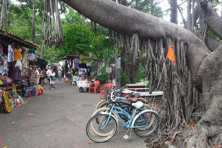 City Cycle: Private Bike Tour Along Puerto Vallarta's El Malecón photo 5