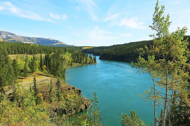 Arctic Day Half-Day: Miles Canyon Hiking Tour from Whitehorse photo 4